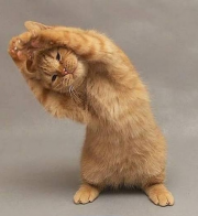 Faça exercícios físicos, veja aqui algumas sugestões.