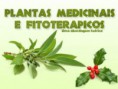 Série de artigos sobre medicamentos fitoterápicos